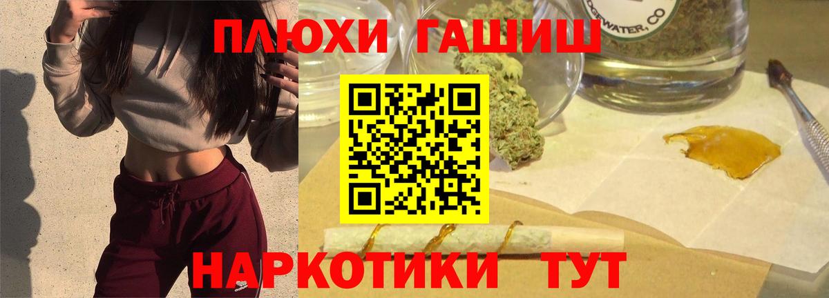 ГАШ Premium Заводоуковск