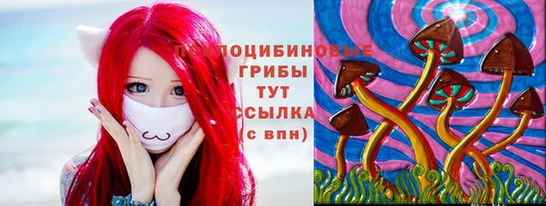 спиды Алзамай
