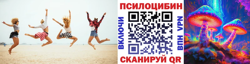 Галлюциногенные грибы Psilocybine cubensis  где продают   Заводоуковск 