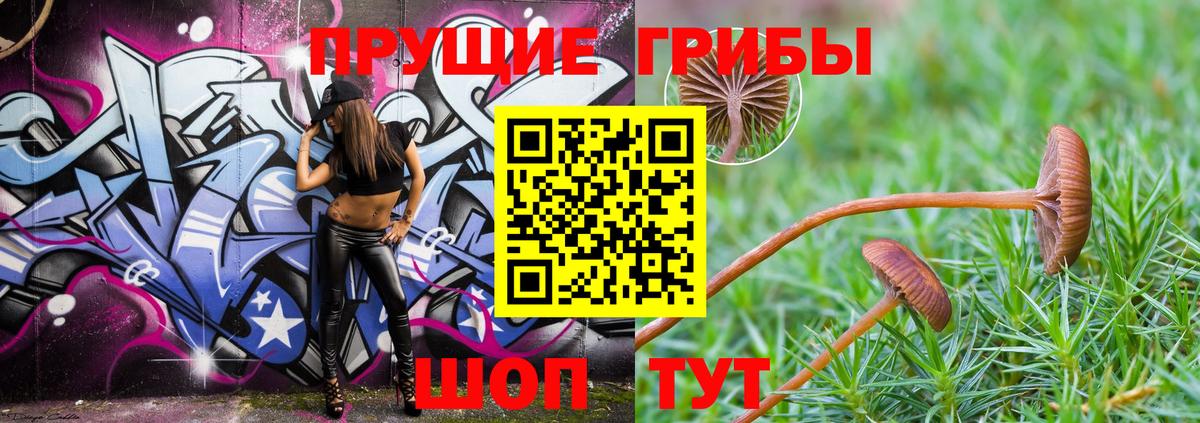 Псилоцибиновые грибы Cubensis Заводоуковск