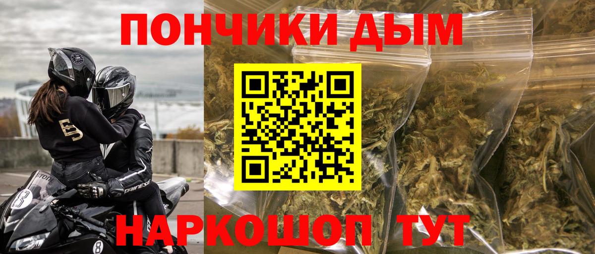 Бошки марихуана конопля  Каннабис конопля  Заводоуковск  Вход с VPN  Бошки Шишки семена 